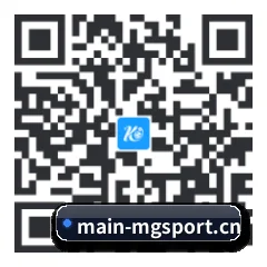系统版 iOS 二维码